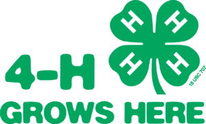 Cover photo for State 4-H Council Winter Newsletter