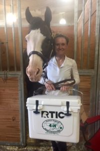 Cover photo for 2018 Southern Regional 4-H Horse Show Results