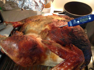 Cover photo for Why You Need a Food Thermometer on Thanksgiving