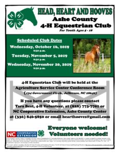 Cover photo for 4-H Equestrian Club