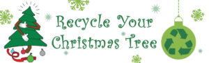 Recycle Your Christmas Tree