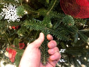 Hand pulling on Christmas tree branch