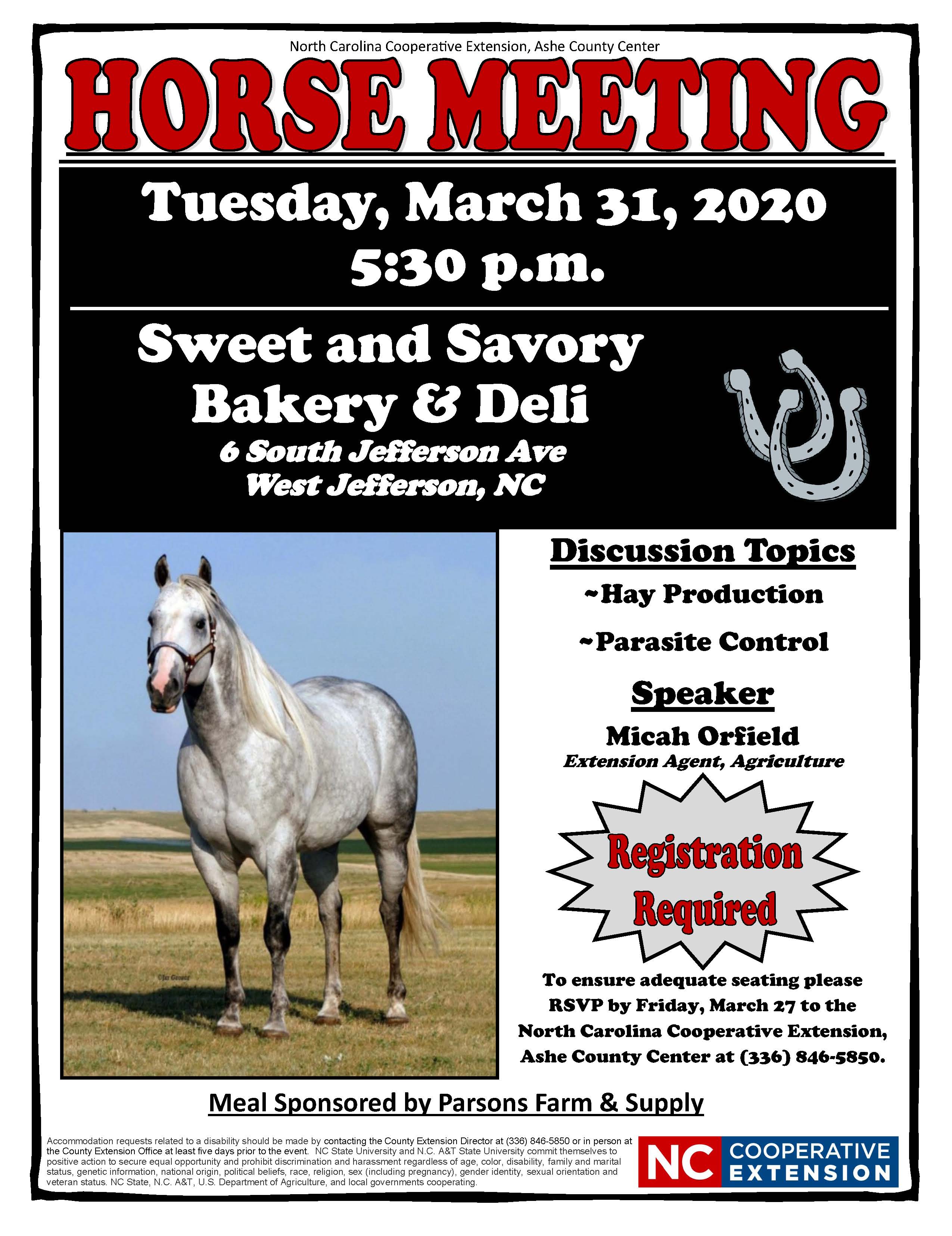Horse Meeting flyer