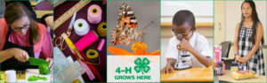 Cover photo for NC 4-H Virtual Summer Programs