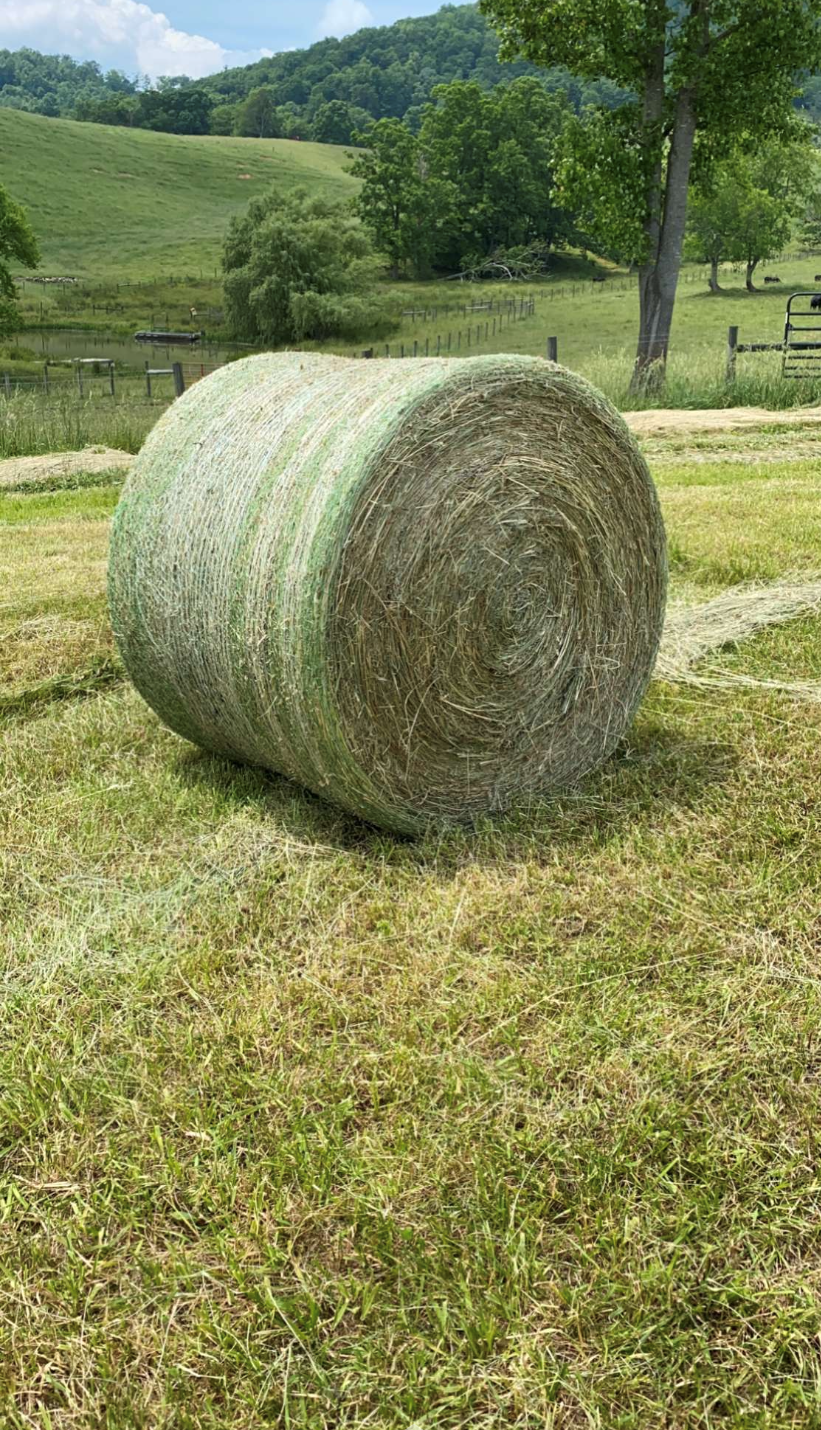 Hay bale