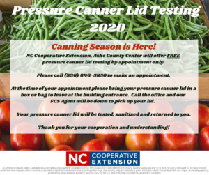 Cover photo for Pressure Canner Lid Testing
