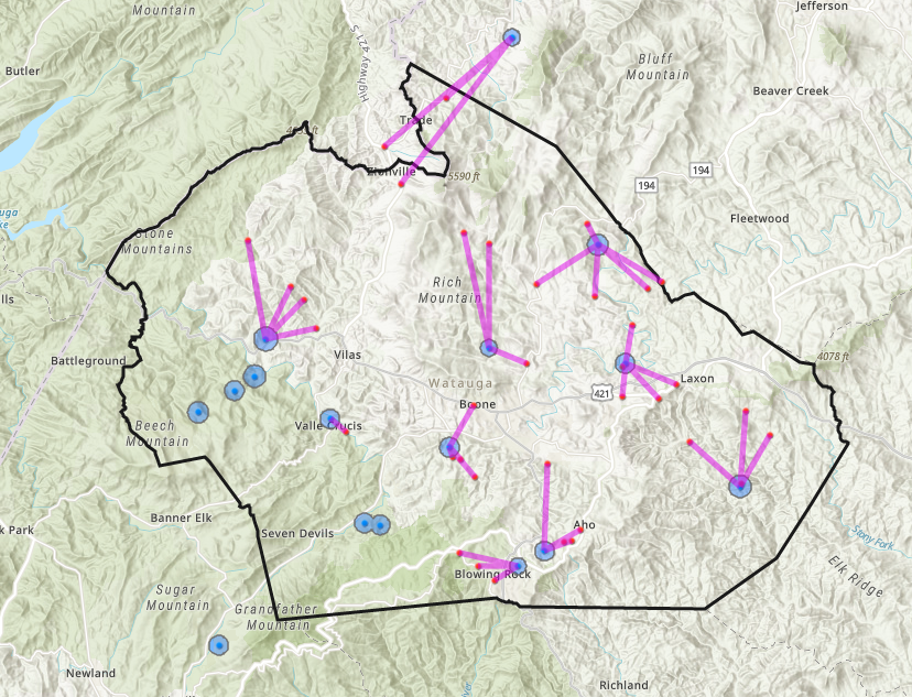 Figure 4: Proximity of 2021 beetles found to nearest to historic release site at each surveyed location (purple connecting lines).
