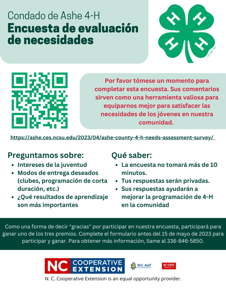 Spanish Version of 4-H Needs Assessment Flyer