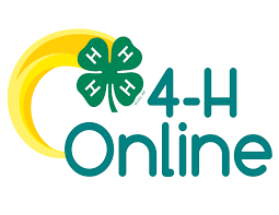 4-HOnline Logo