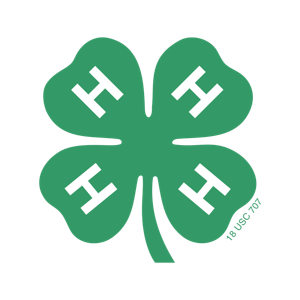 4-H Clover Graphic