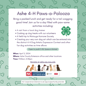 Flyer for 4-H Paws-a-Palooza