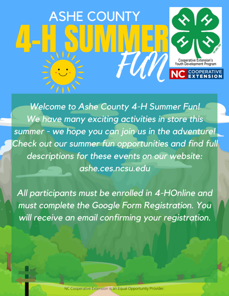 Introductory flyer for Ashe 2024 4-H Summer Fun