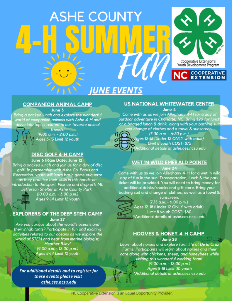 Flyer 1 for Ashe 2024 Summer Fun