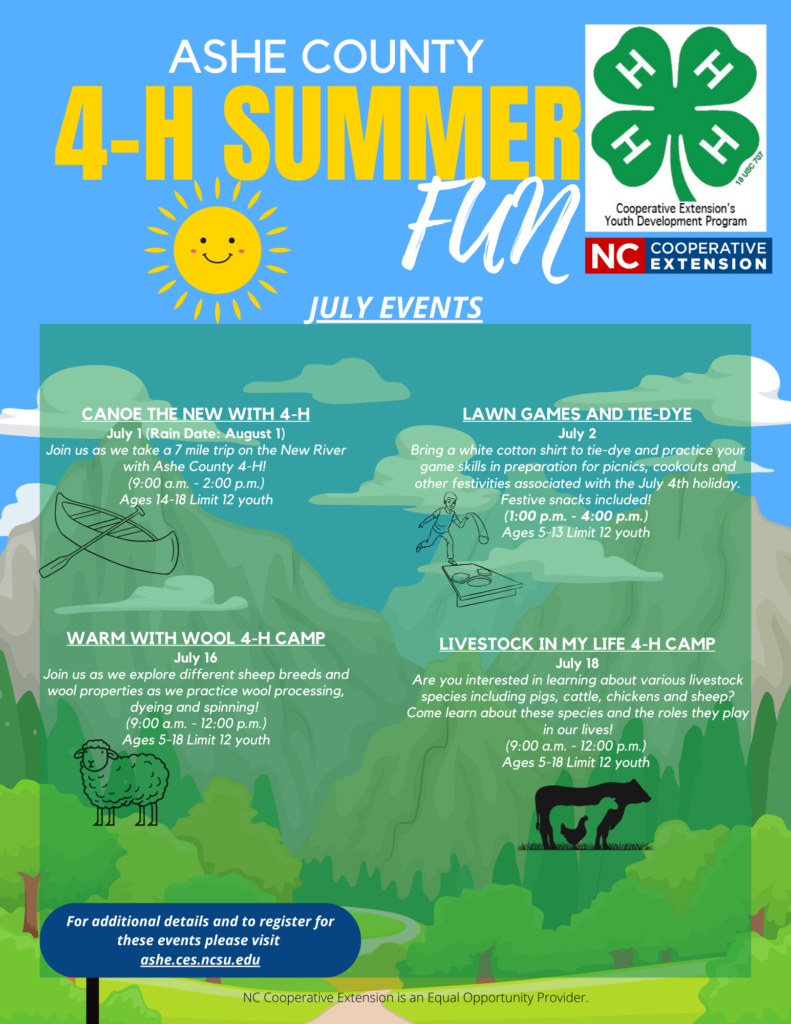 Flyer 2 for 2024 Ashe 4-H Summer Fun