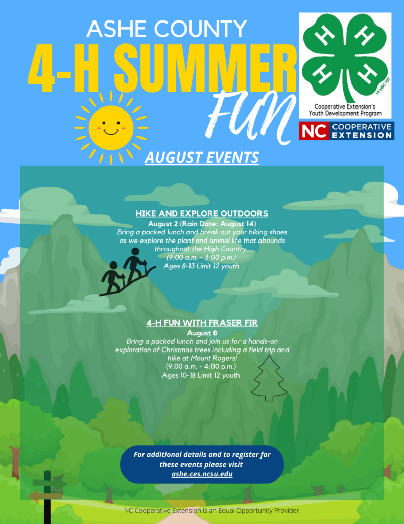 Flyer 3 for 2024 Ashe 4-H Summer Fun 