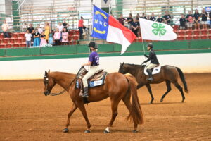 Cover photo for 2024 NC State 4-H Horse Show Results