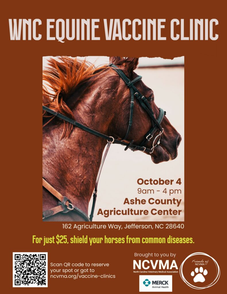 WNC Equine Vaccine Clinic Flyer